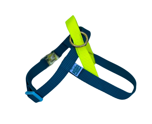 Happy Harness - Teal and yellow