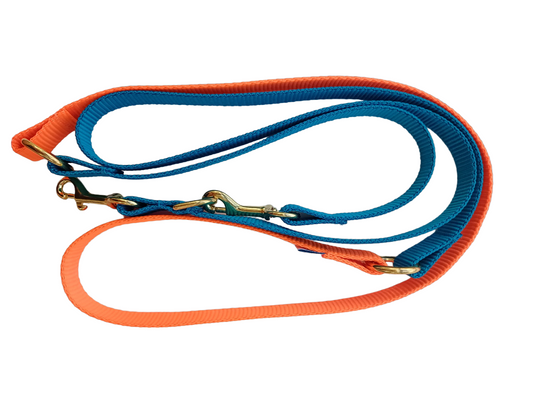 Happy Leash - Teal and orange