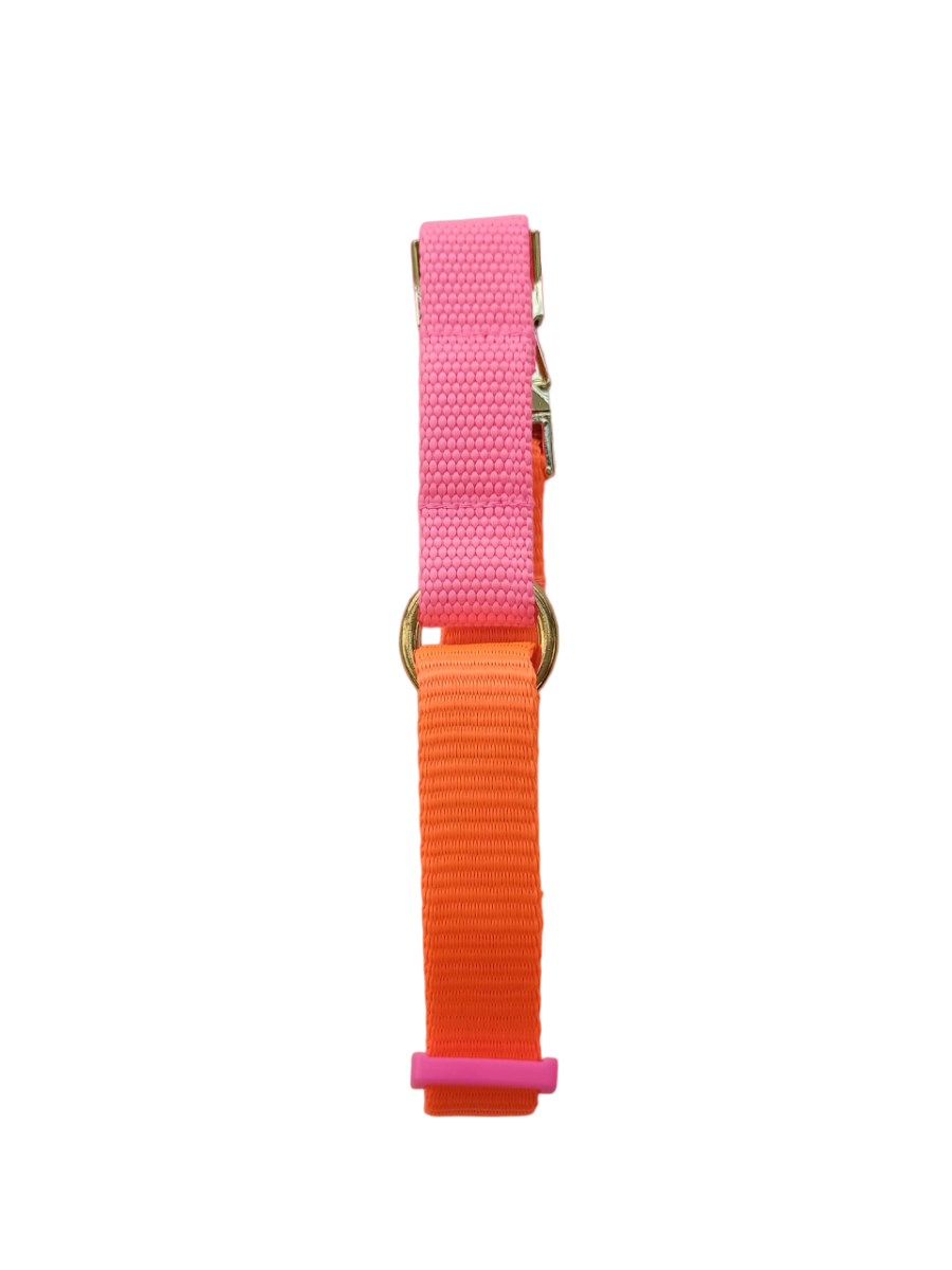 Happy Collar - Orange and Pink