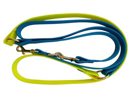 Happy Leash - Teal and yellow