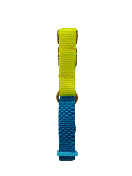 Happy Collar - Teal and yellow