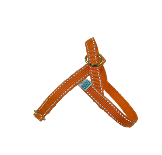 BASIC Harness - Orange