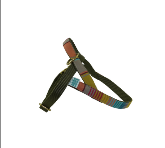 Barcelona Harness - Mustard yellow with red and blue
