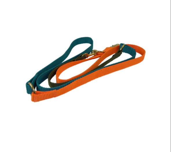 Happy Leash - Orange & green