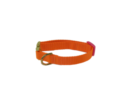 Happy Collar - Bright orange