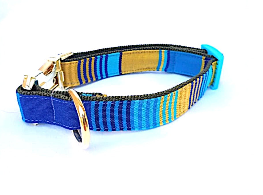 Blue and yellow dog collar sale