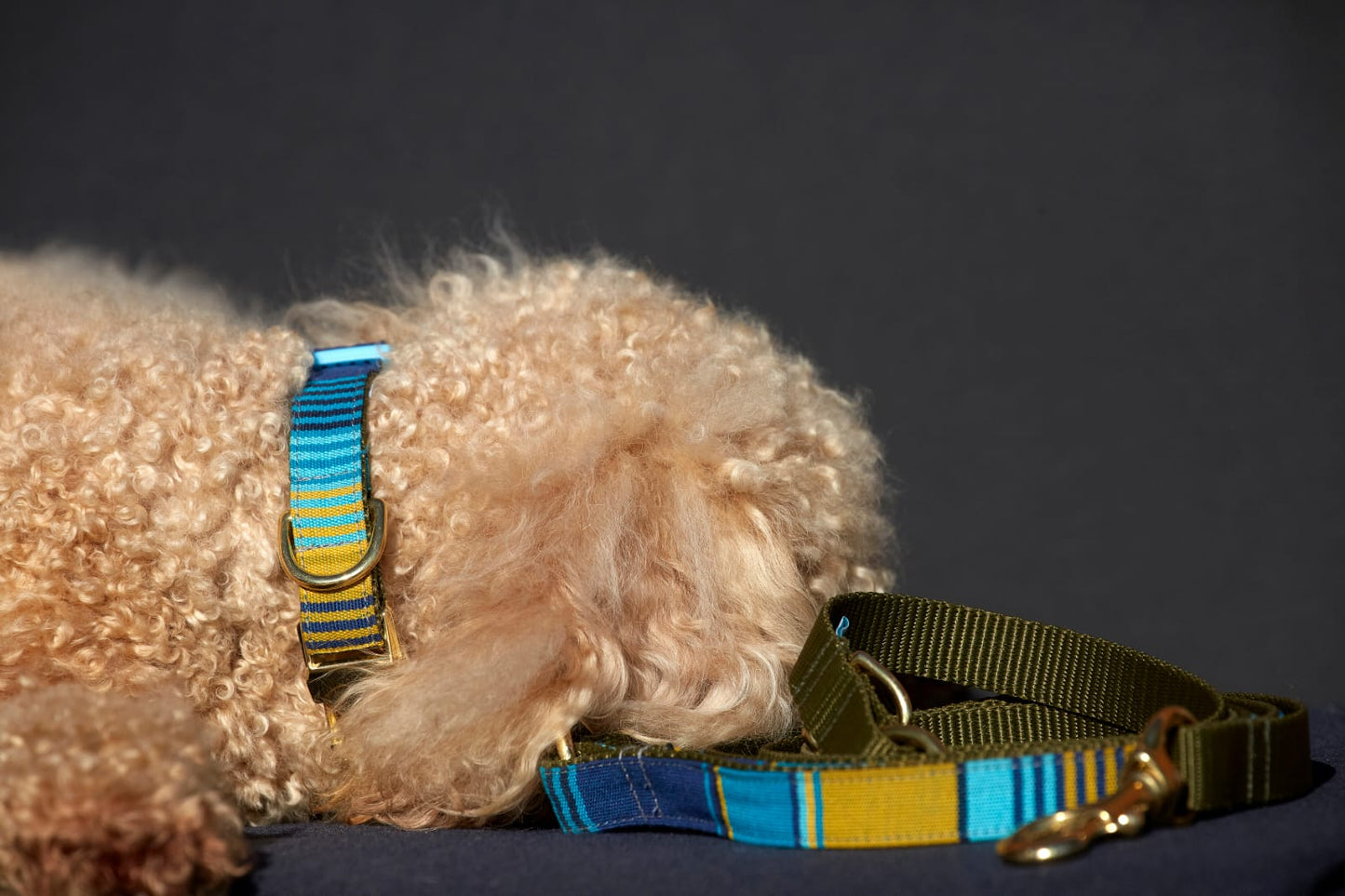 Barcelona Collar - Light and dark blue stripes