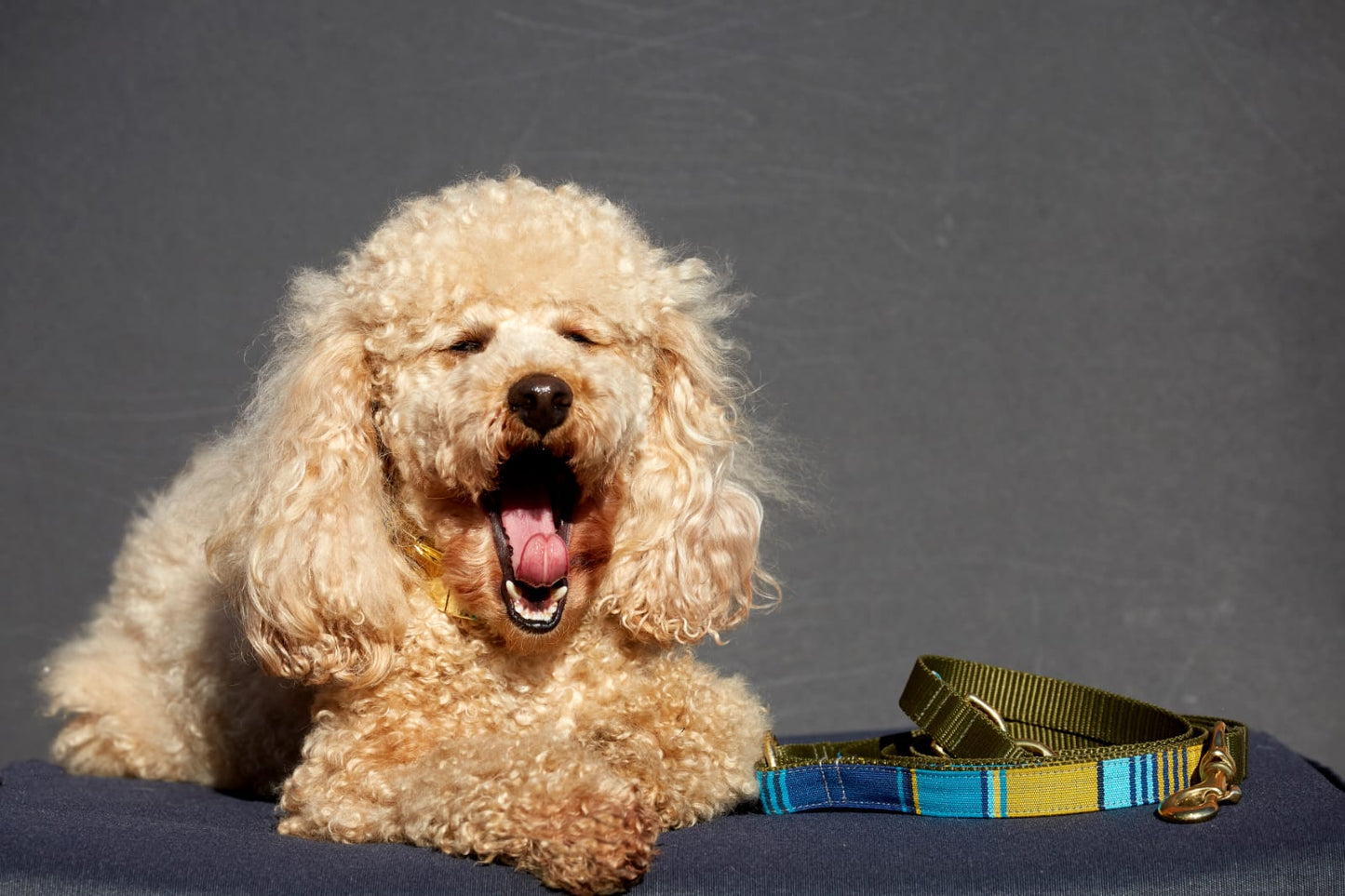 Barcelona Collar - Light and dark blue stripes