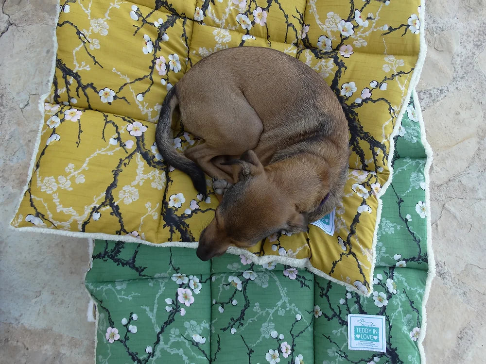 ISLA Dog Blanket - Mustard yellow