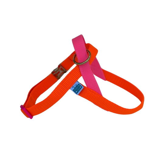 Happy Harness - Orange and pink