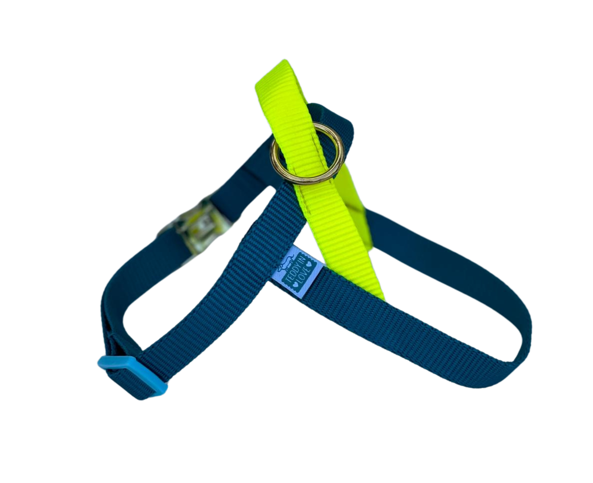 Happy Harness - Teal and yellow