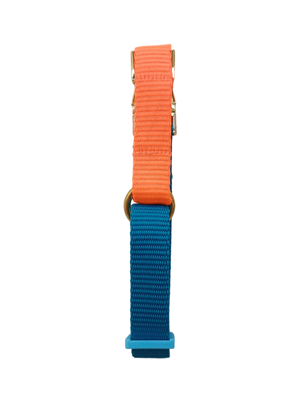 Happy Collar - Teal and orange