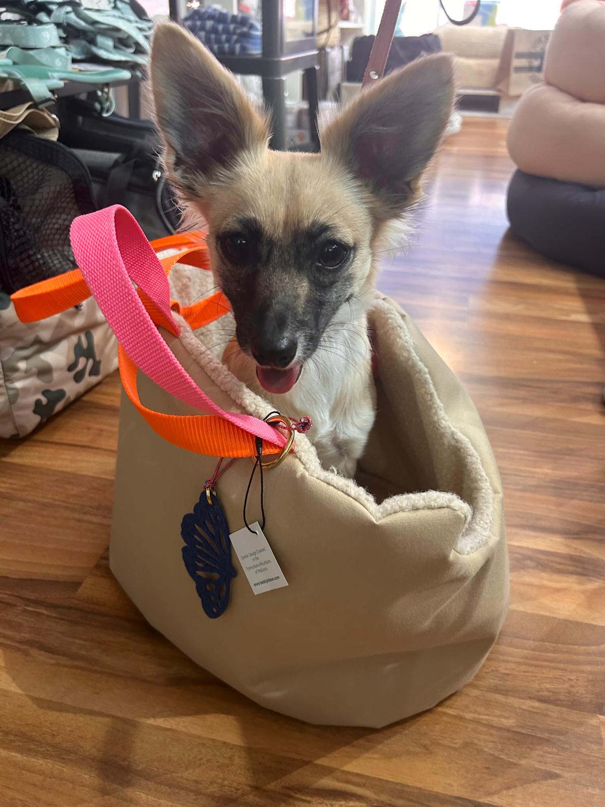 Happy - Travel Bag (Winter edition)