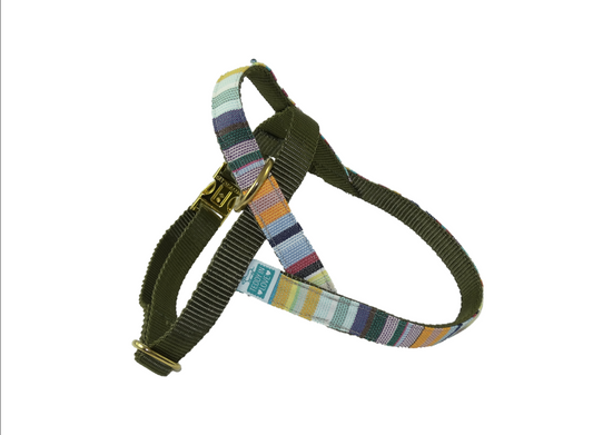 Barcelona Harness - Multicoloured stripes