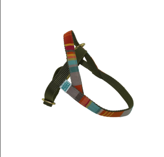 Barcelona Harness - Red and blue stripes