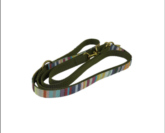 Barcelona Leash - Multicoloured stripes
