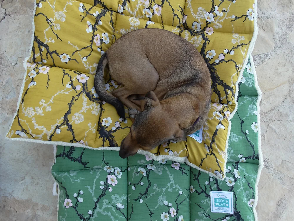 Colección ISLA - Manta para perros delicado amarillo mostaza